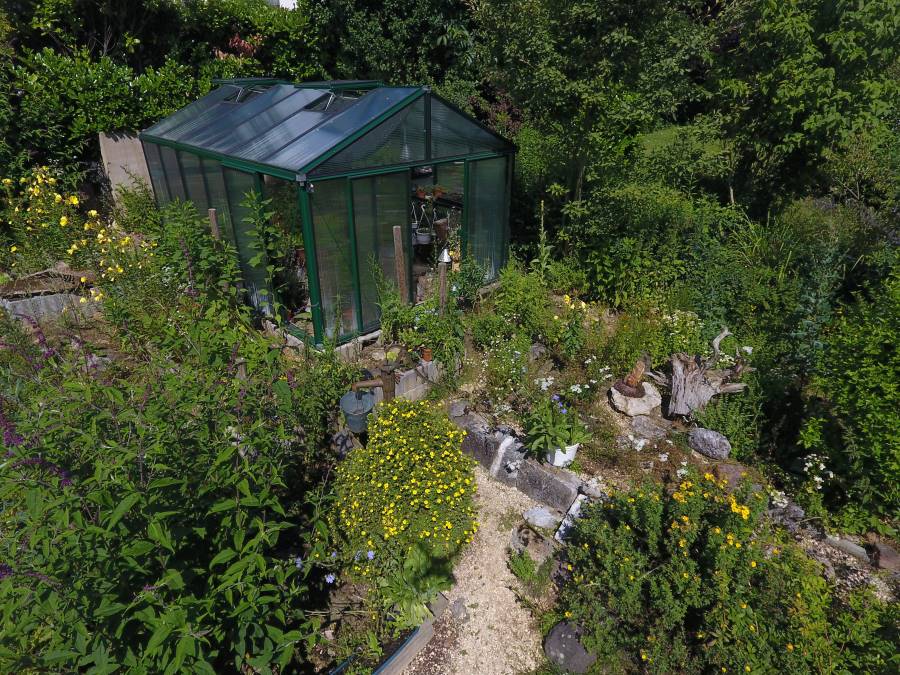 outdoor-enclosured-mediterranean-tortoises-outdoor-garden