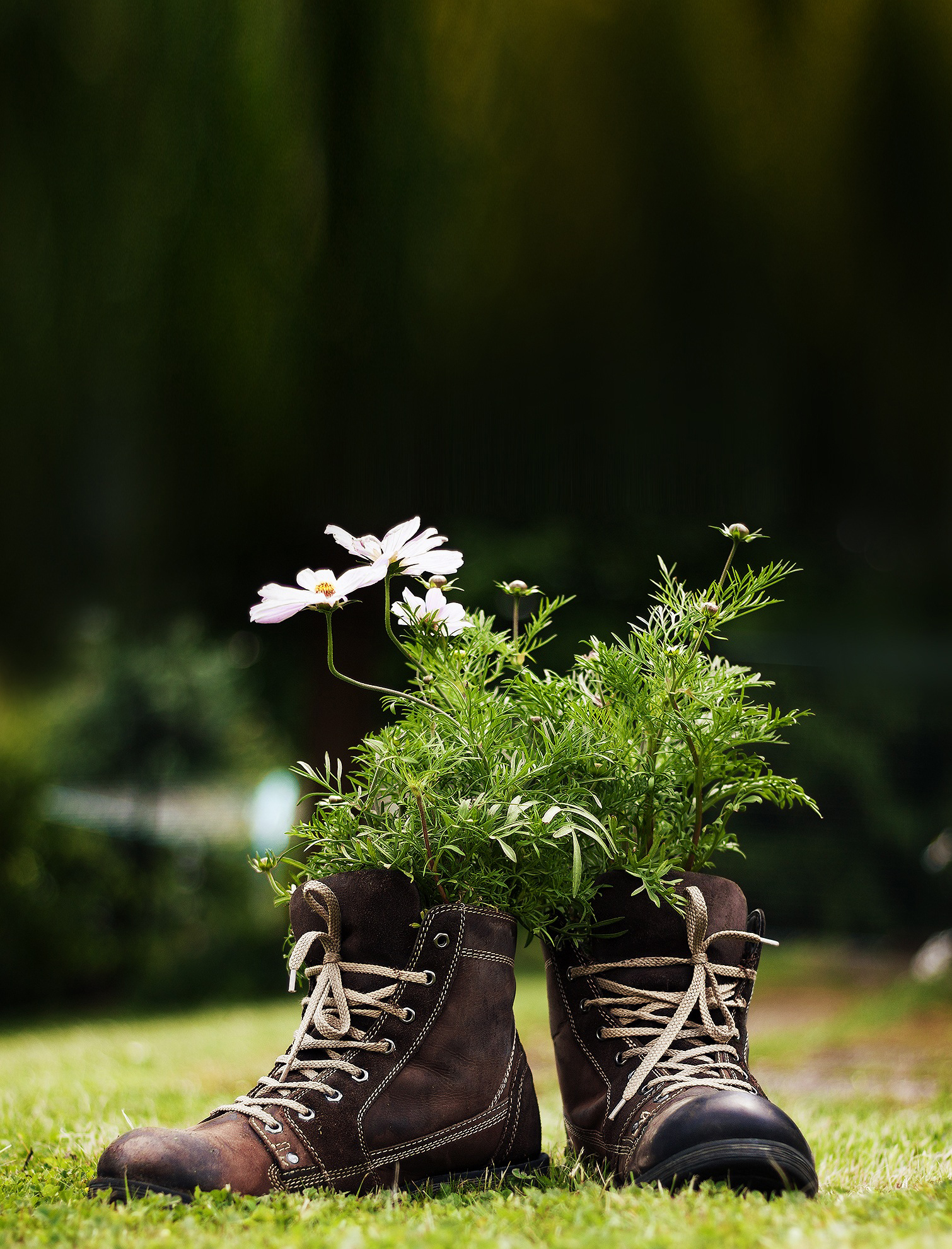 Alte Stiefel lassen sich wunderbar als Blumentöpfe zweckentfremden – ein Hingucker in jedem Garten!