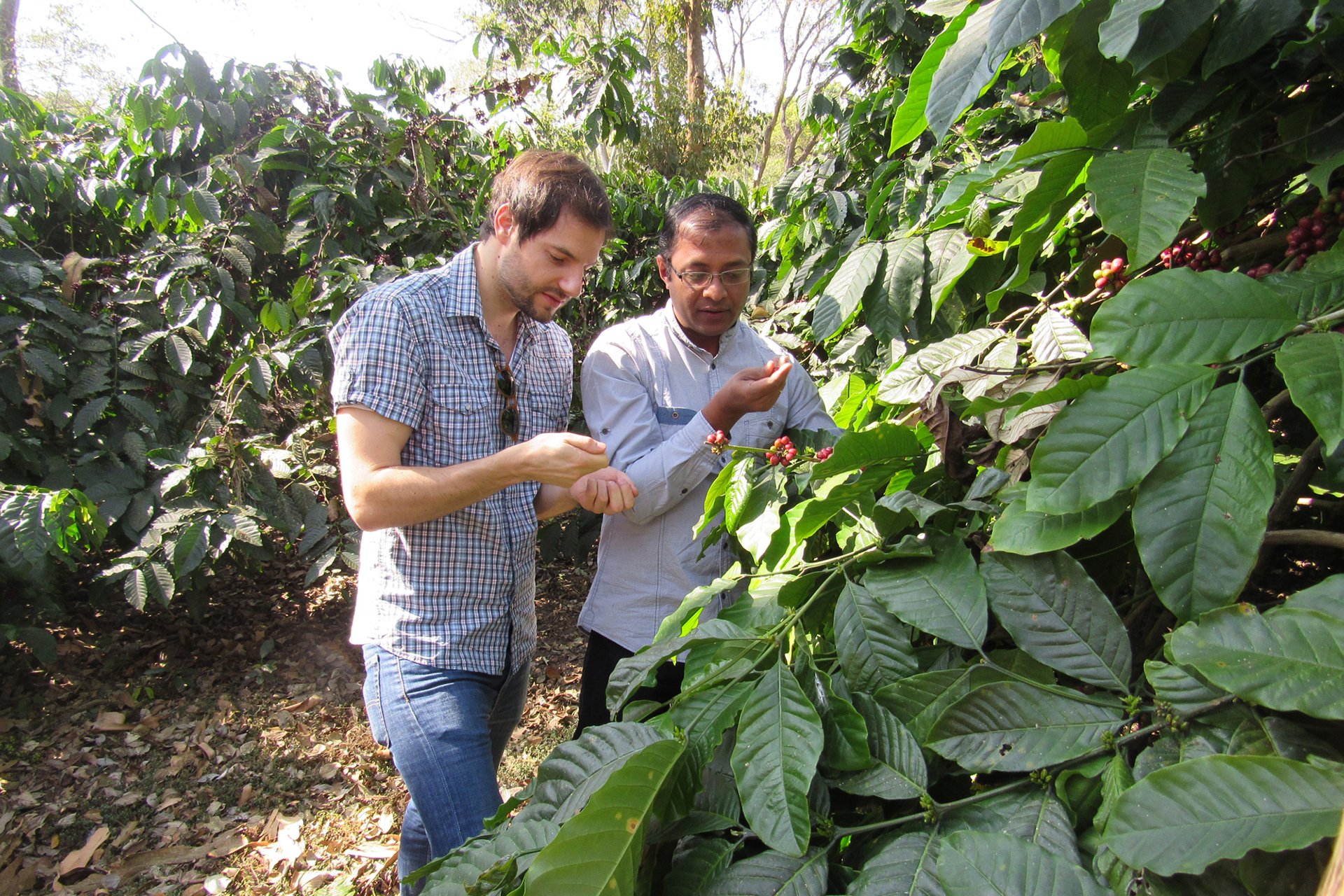 Jonas Braun mit Mitarbeiter auf der Elk Hill Coffee Farm