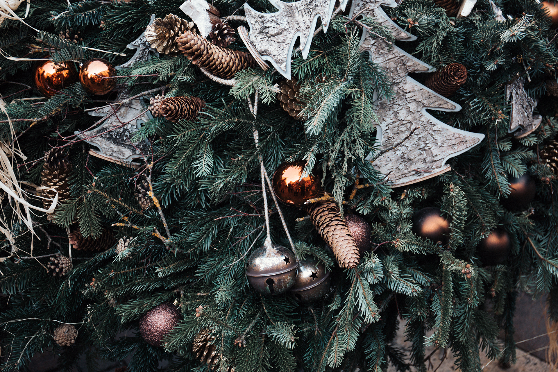 Adventsschmuck wächst auch draußen