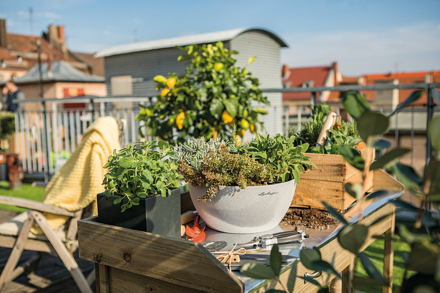 Mini-Kräutergarten in der Pflanzschale CUBETO Stone