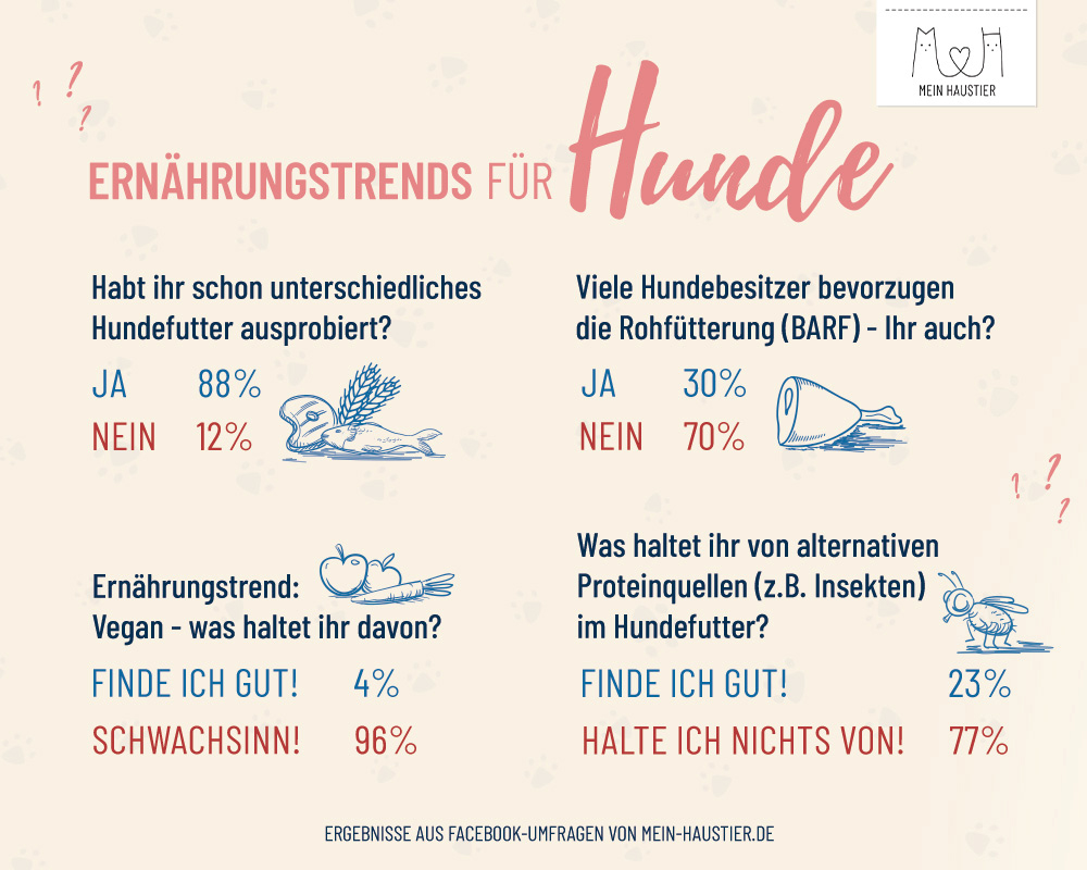 Ernährungstrends für Hunde