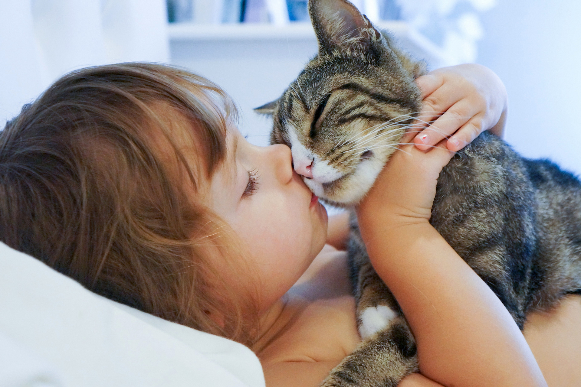 Fünf Gründe für ein Leben mit Katze