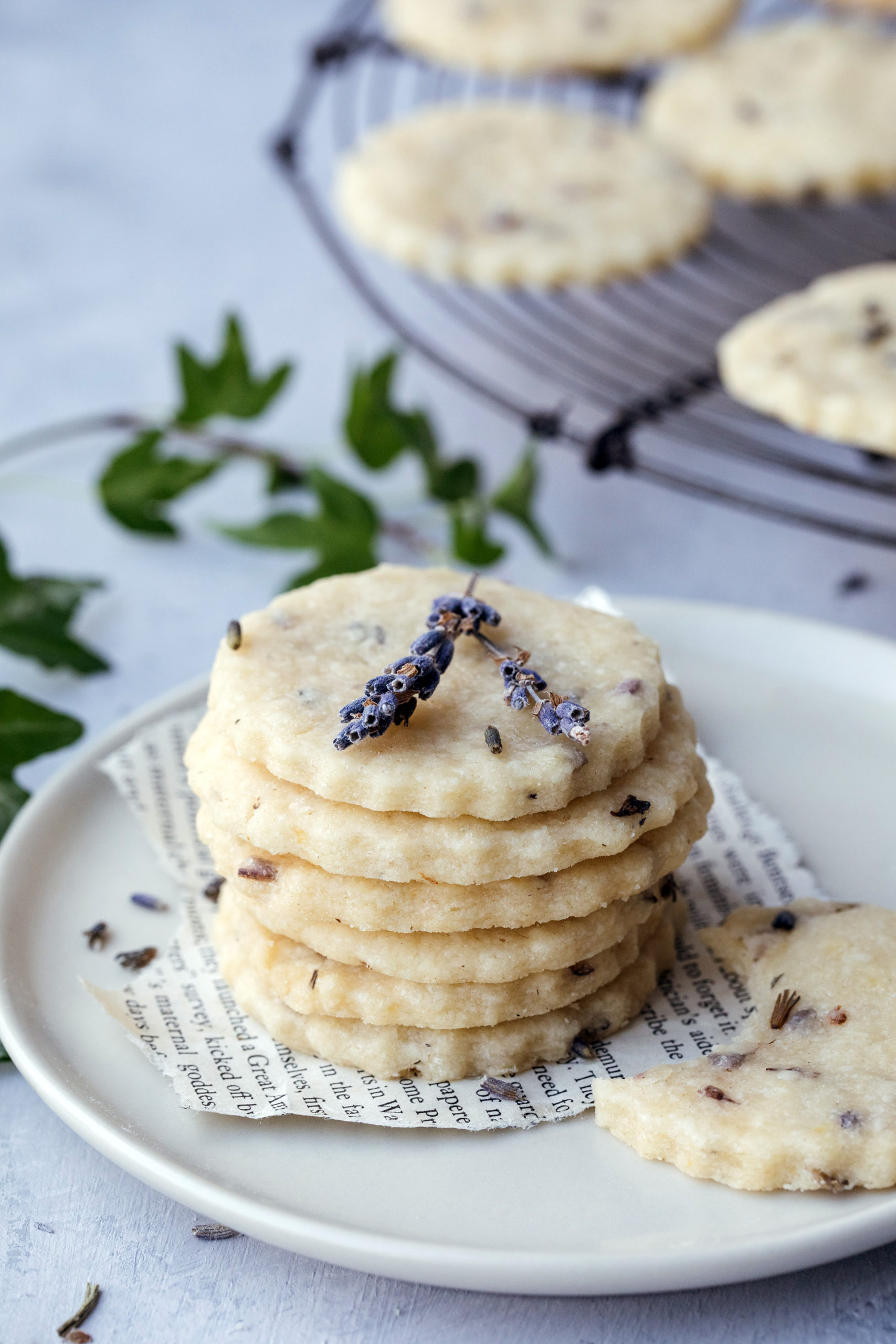 Lavendelkekse sehen toll aus und sind ganz leicht zu backen