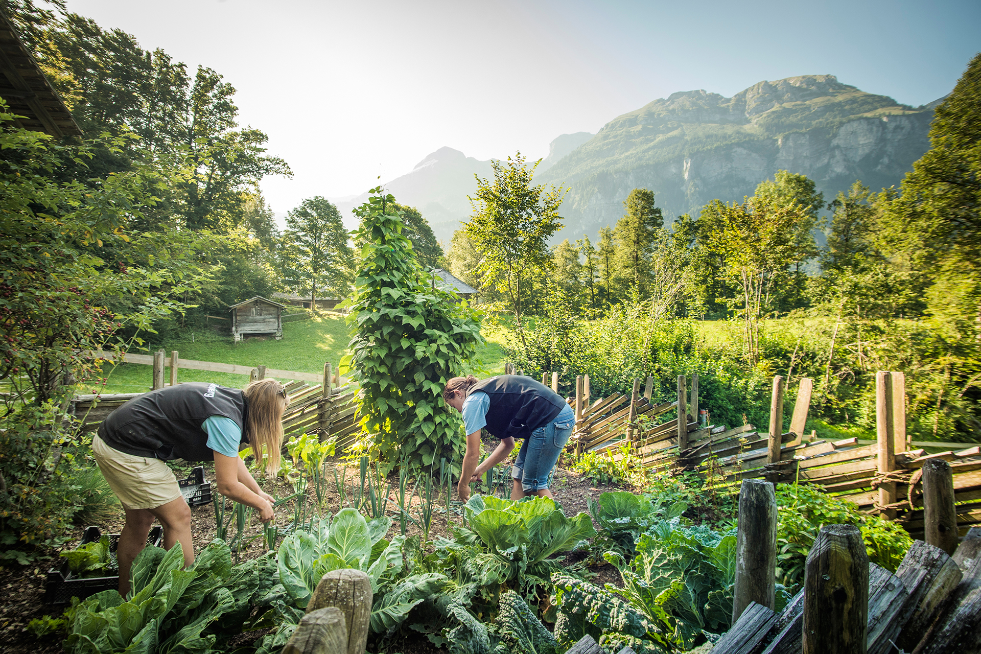Die historischen Gemüsegärten der Schweiz 5