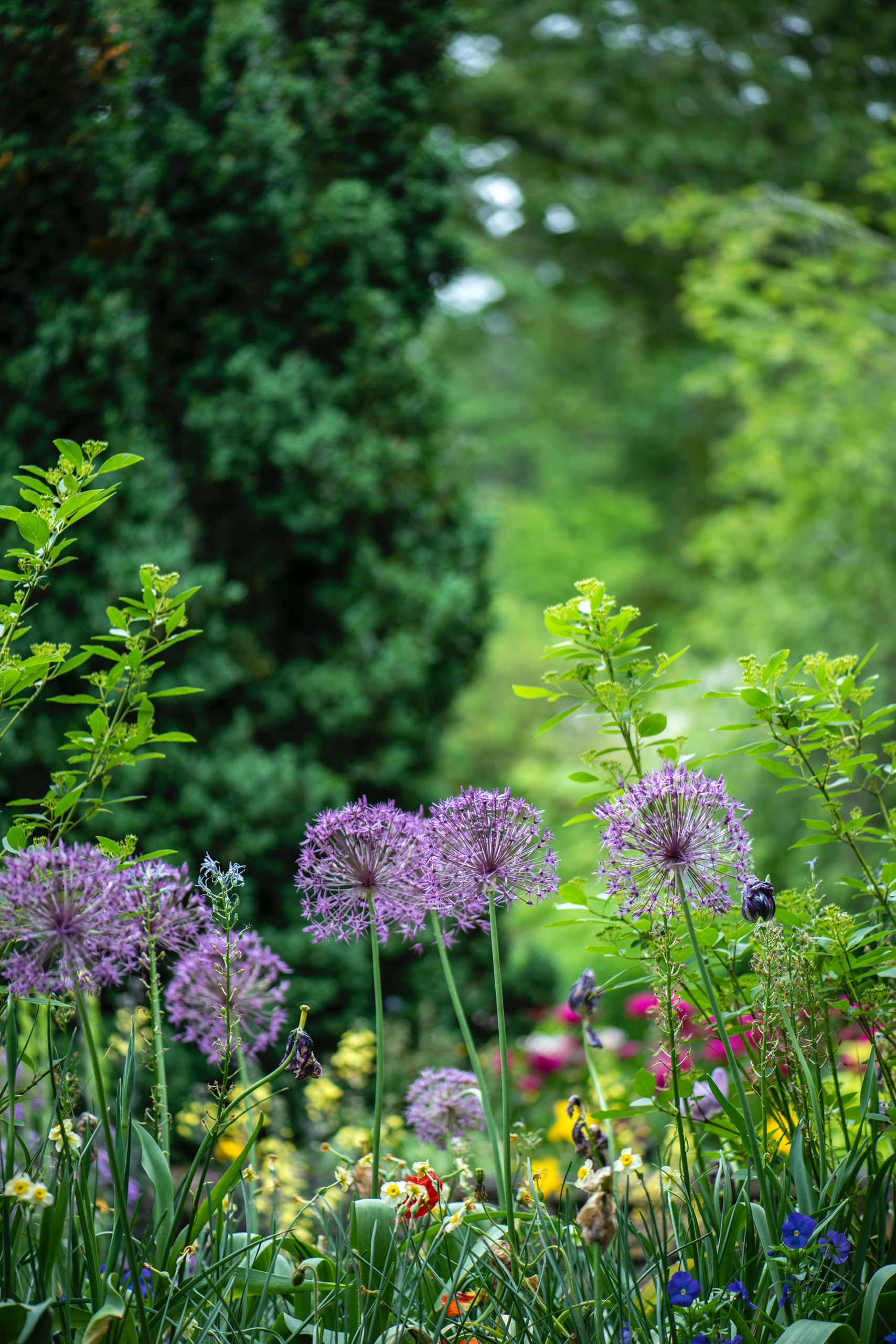 So sieht ein gesunder naturnaher Garten aus