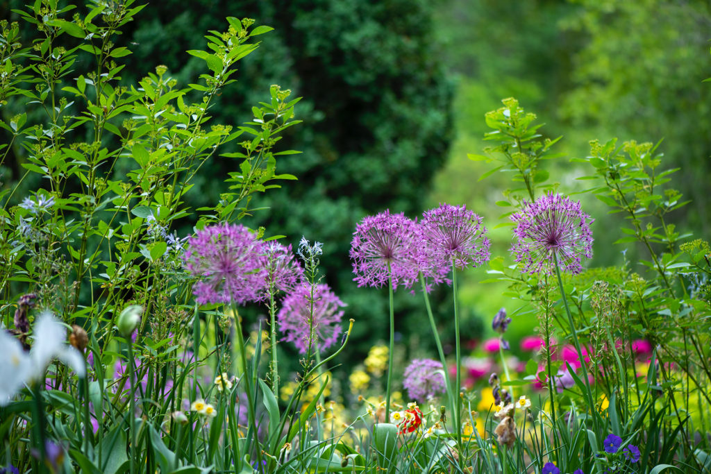 So übersteht dein Garten jedes Wetter