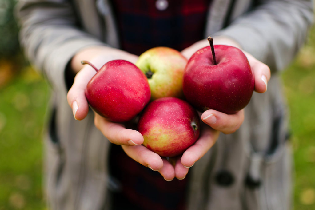 Apfelküche. Vom Baum auf den Tisch – über 70 herzhafte & süße Rezepte