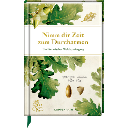 Nimm dir Zeit zum Durchatmen: Ein literarischer Waldspaziergang