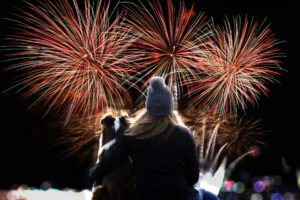 Silvestertipps für Hund und Katz'