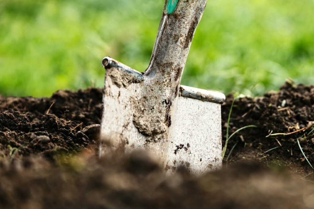 Das Gartenjahr: Die richtige Planung Monat für Monat