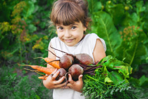 Frische Ernte zum kleinen Preis: Tipps und Ideen für nachhaltiges Gärtnern