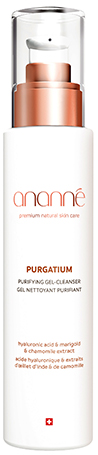 ananné PURGATIUM Purifying Gel-Cleanser