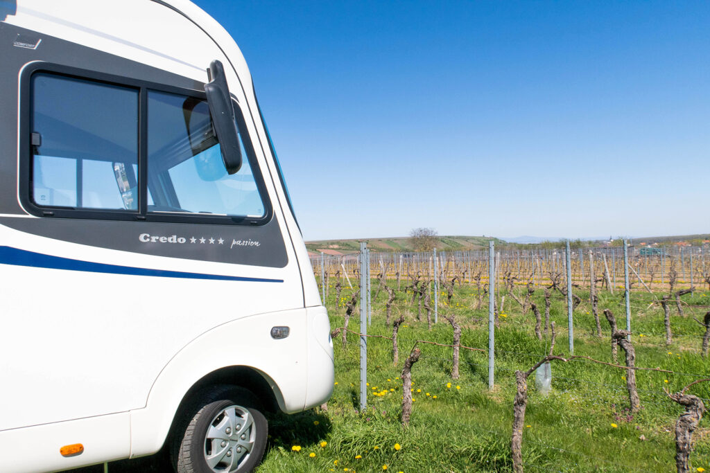 Endlich wieder Urlaub in Rheinhessen