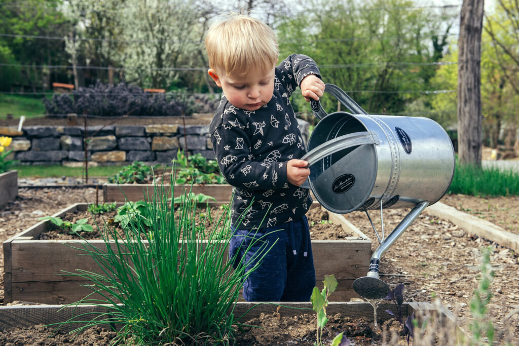 Asphalt weicht biodiversem Naturgarten: Bioterra eröffnet neuen Lerngarten in St. Gallen