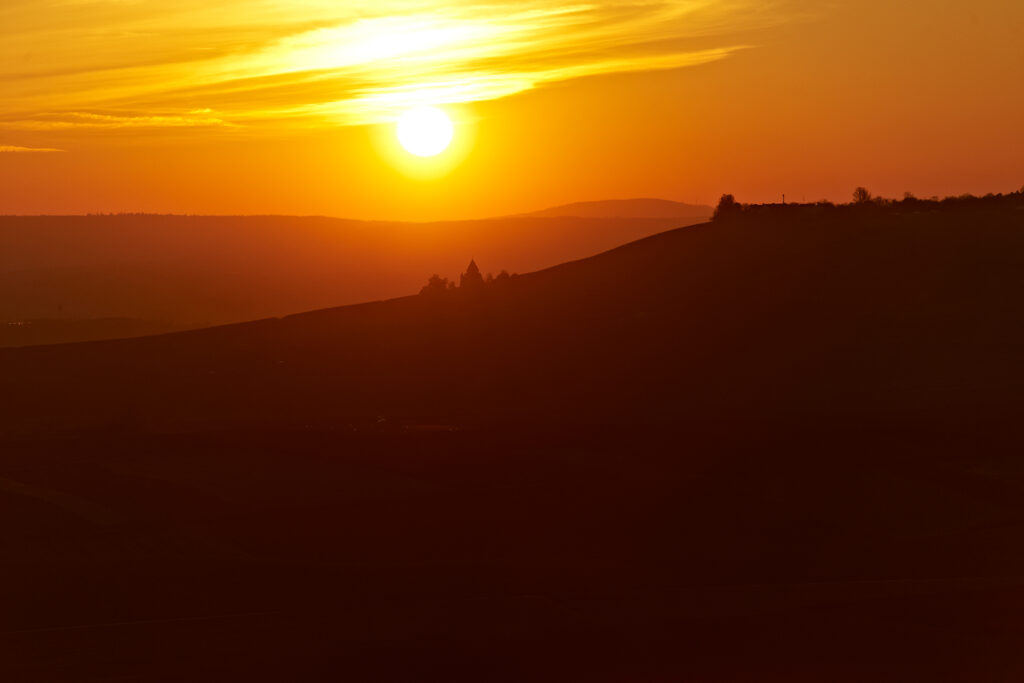 Goldener Herbst: Rheinhessen leuchtet