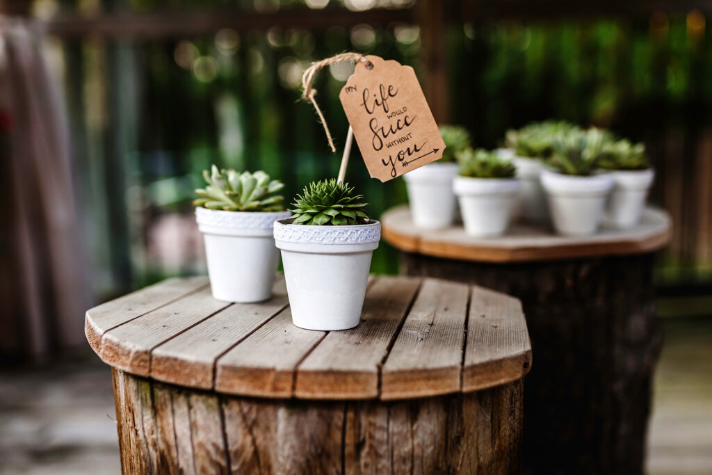 Hochbeet, Teich, Palettentisch. Projekte zum Selbermachen für Garten & Balkon. Dein kreativer Garten