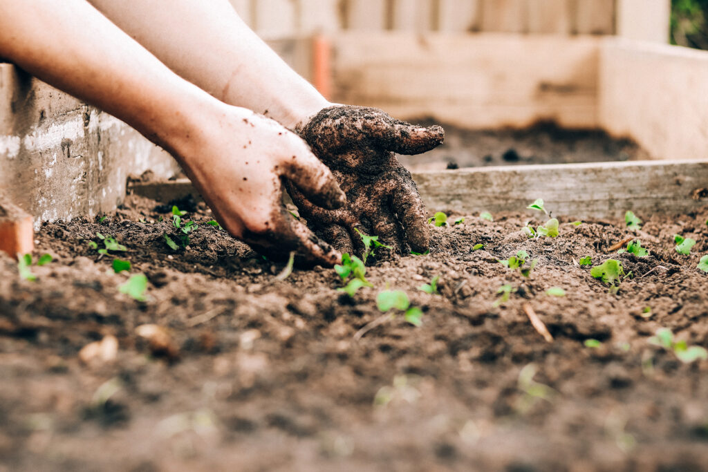 Gartenmomente: Hochbeet