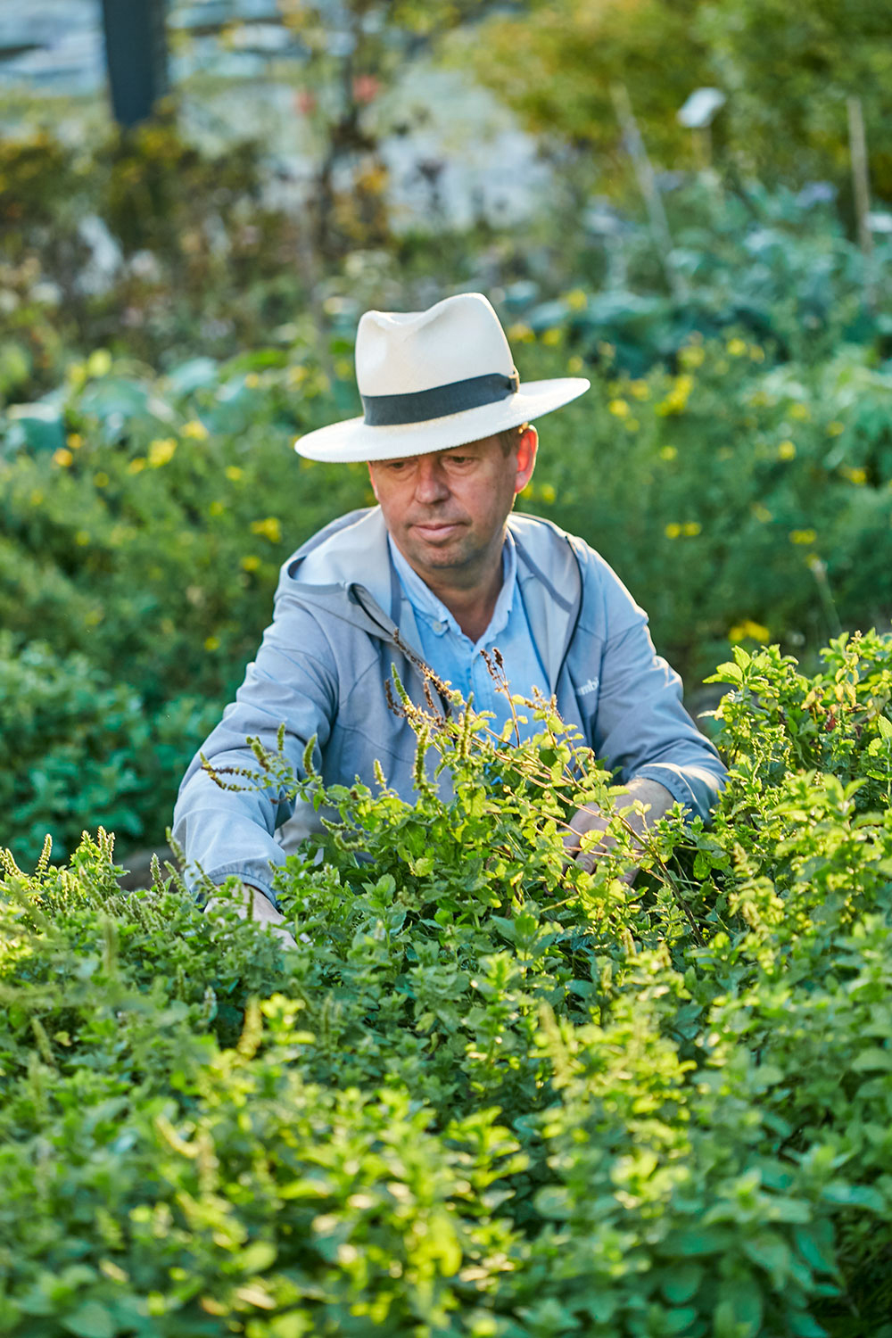 Der Kräutergarten von »Lazy Gardener« Remo Vetter auf der Tagestour ins Appenzellerland