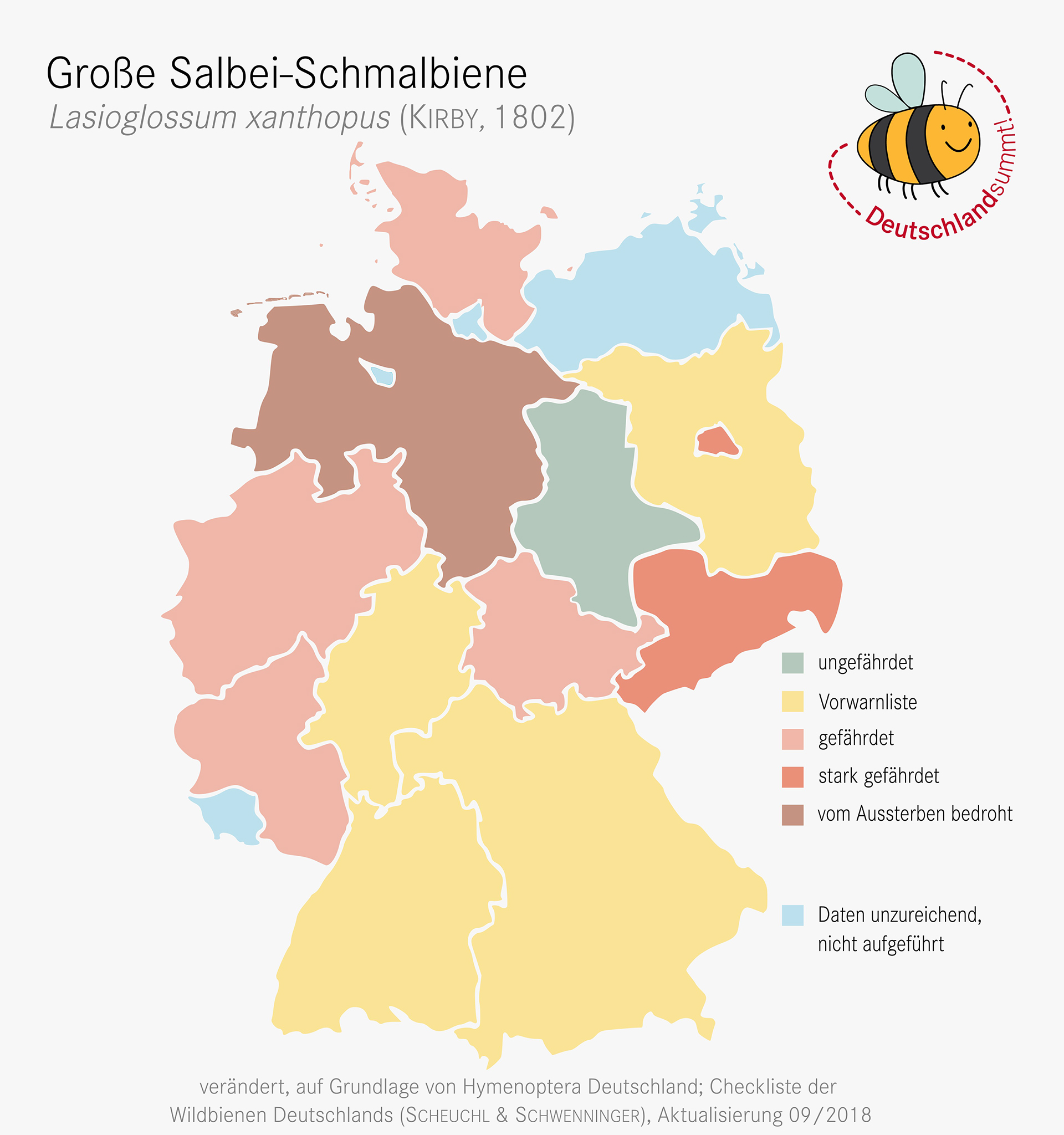 Nachweiskarte und Gefährdung der Großen Salbei-Schmalbiene