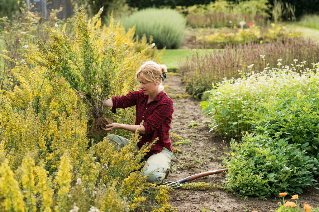 Garden Futures: Designing with Nature