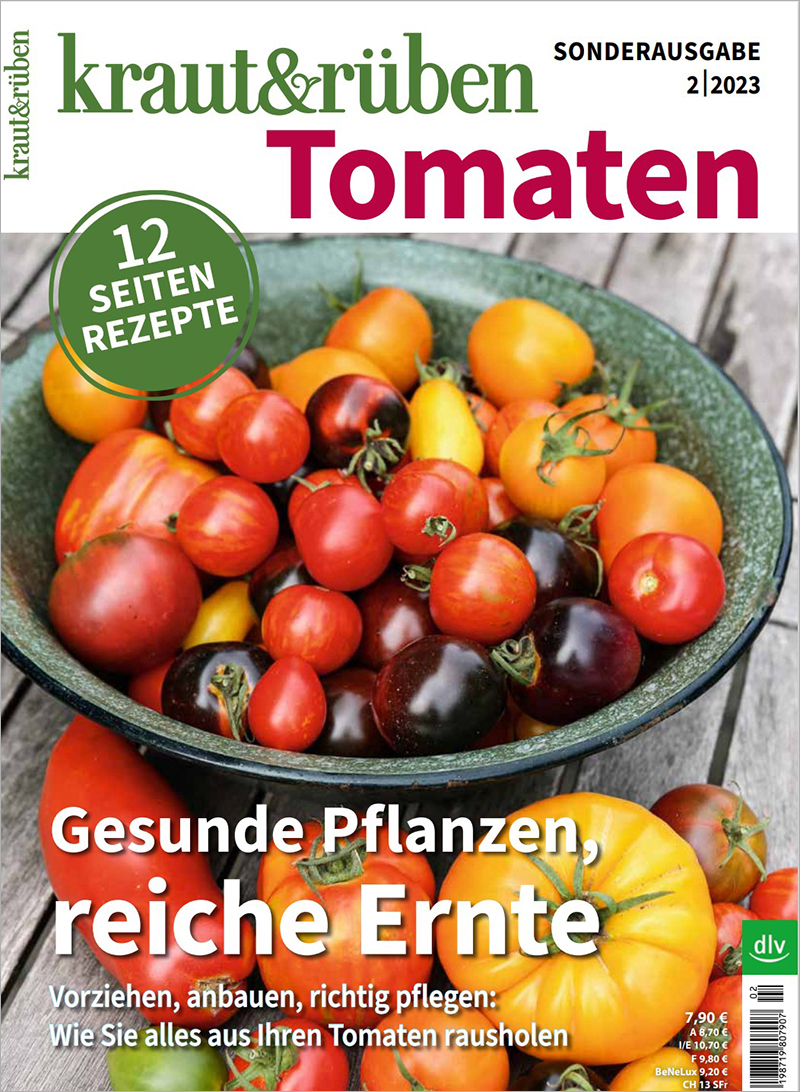 Tomaten – Gesunde Pflanzen, reiche Ernte (Cover)