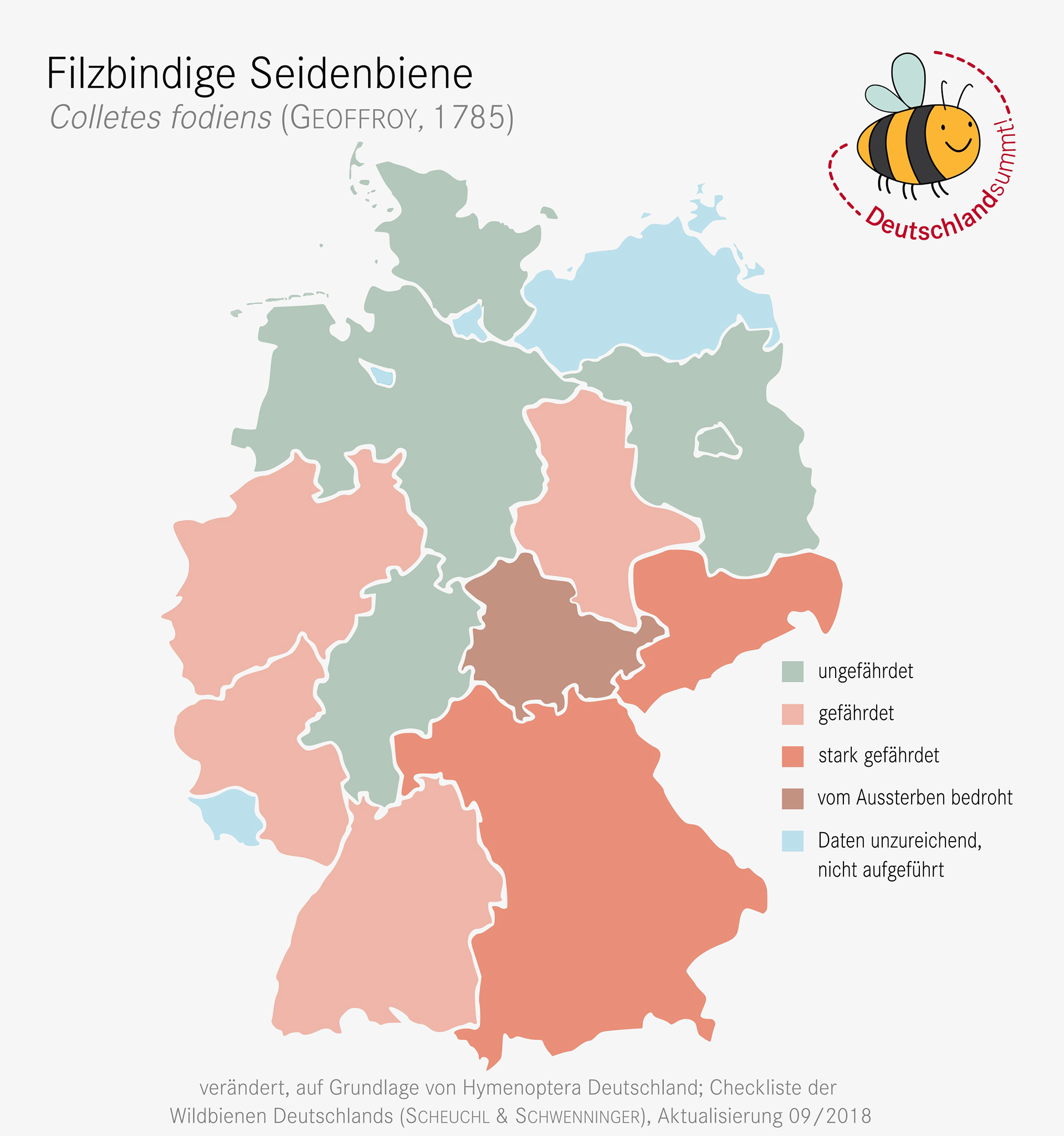 Nachweiskarte und Gefährdung der Filzbindigen Seidenbiene