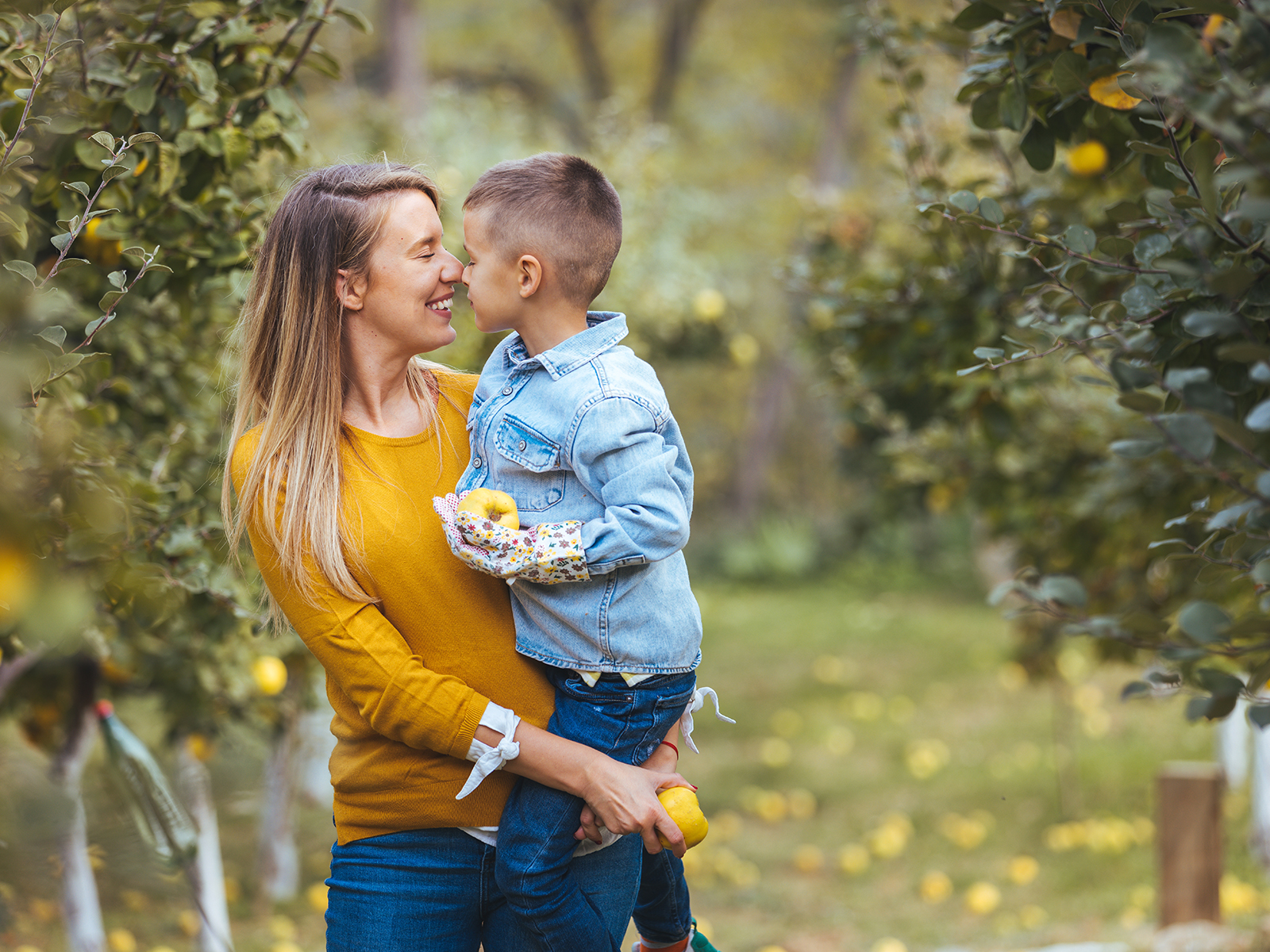 Äpfel, Birnen & Quitten