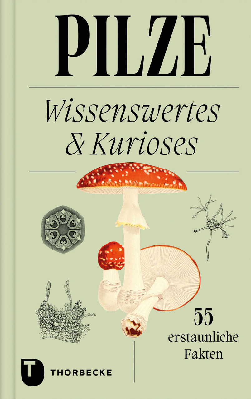 Pilze: Wissenswertes und Kurioses – 55 erstaunliche Fakten (Cover)