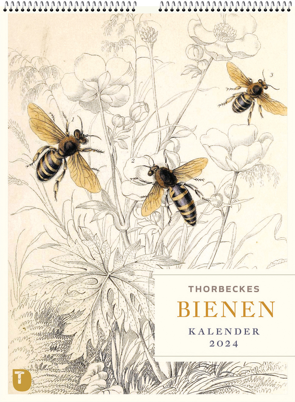 Thorbeckes Bienen-Kalender 2024 (Deckblatt)