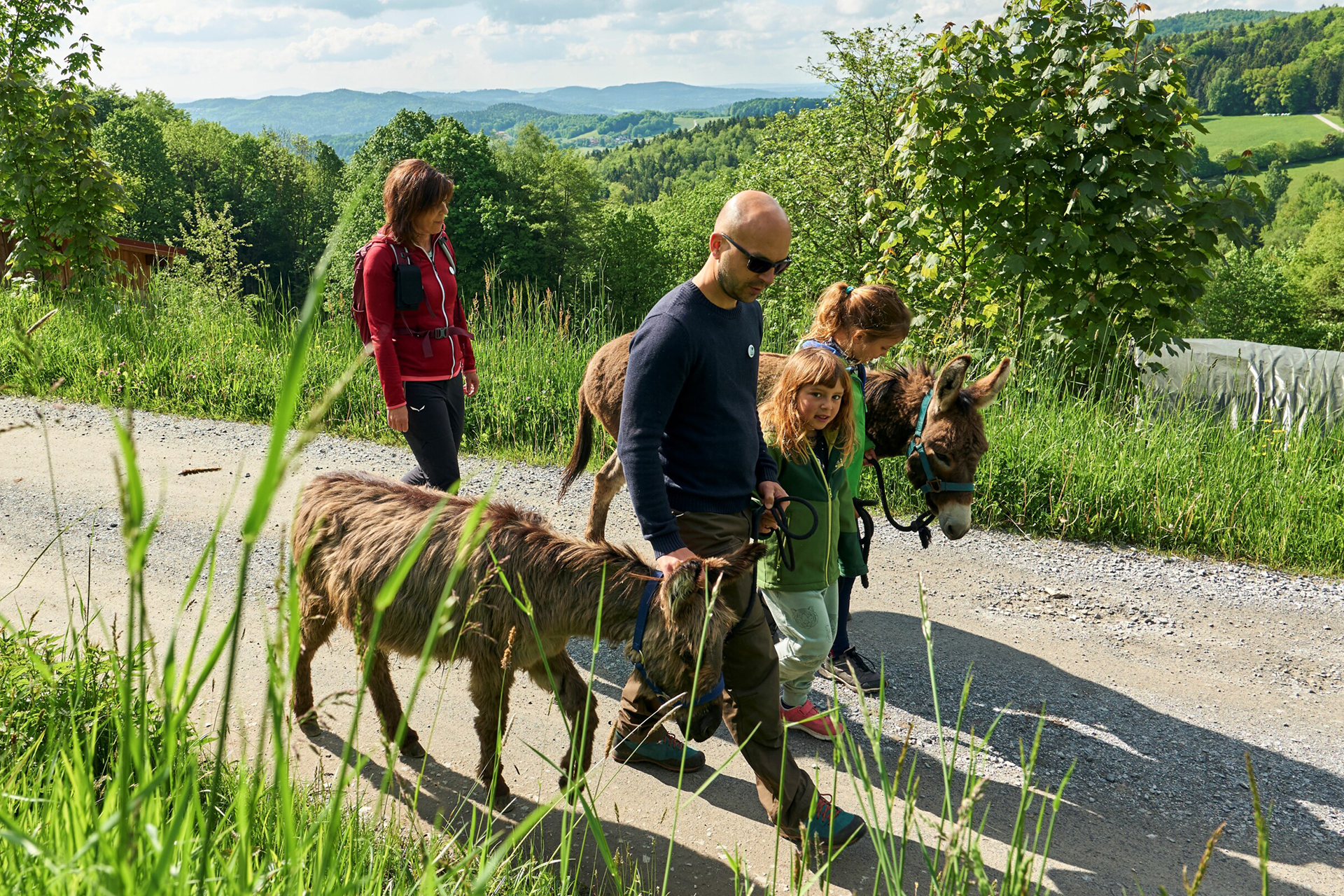 Eselwanderung im Bayerischen Wald