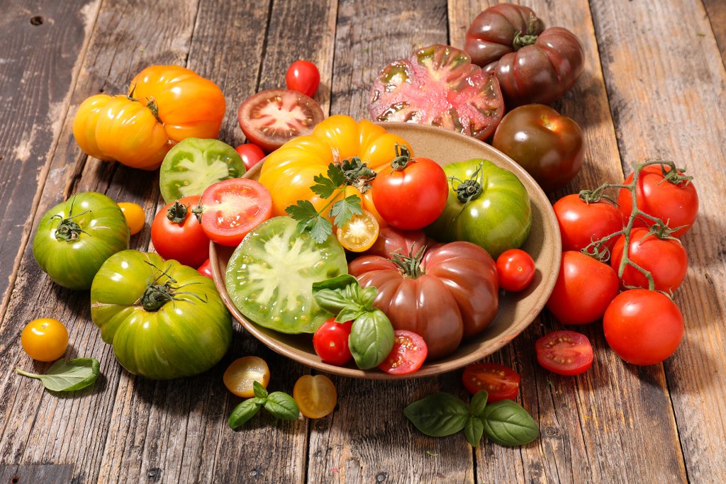 20. Tomatensetzlingsmarkt Zürich – Setzlingsmarkt mit vielen alten Sorten und Raritäten