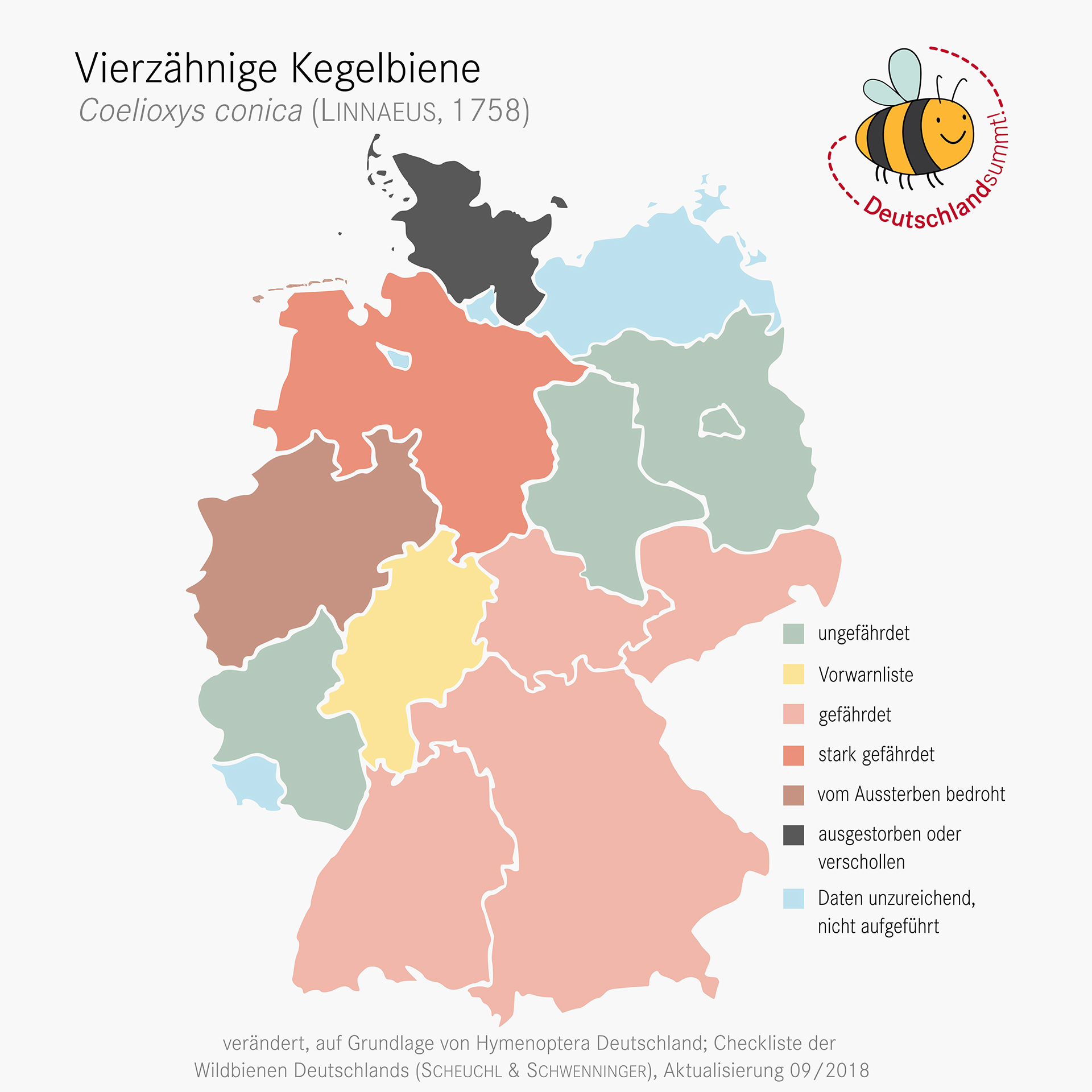 Nachweiskarte und Gefährdung der Vierzähnigen Kegelbiene