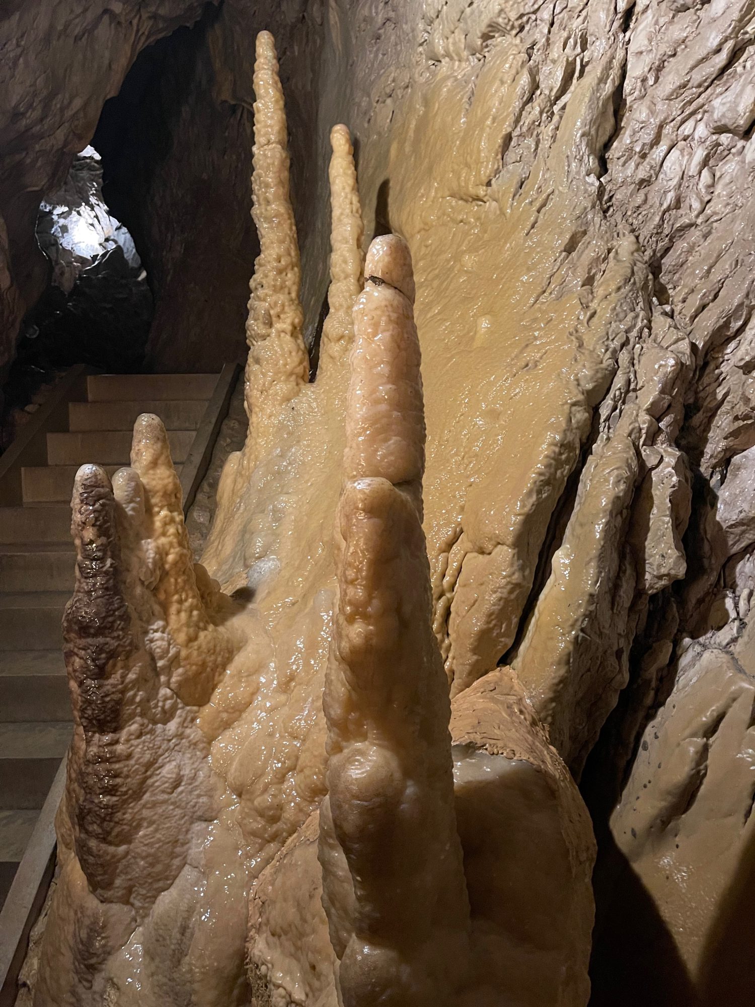 Stalagmiten von besonderer Form begrüßen die Besucher ...