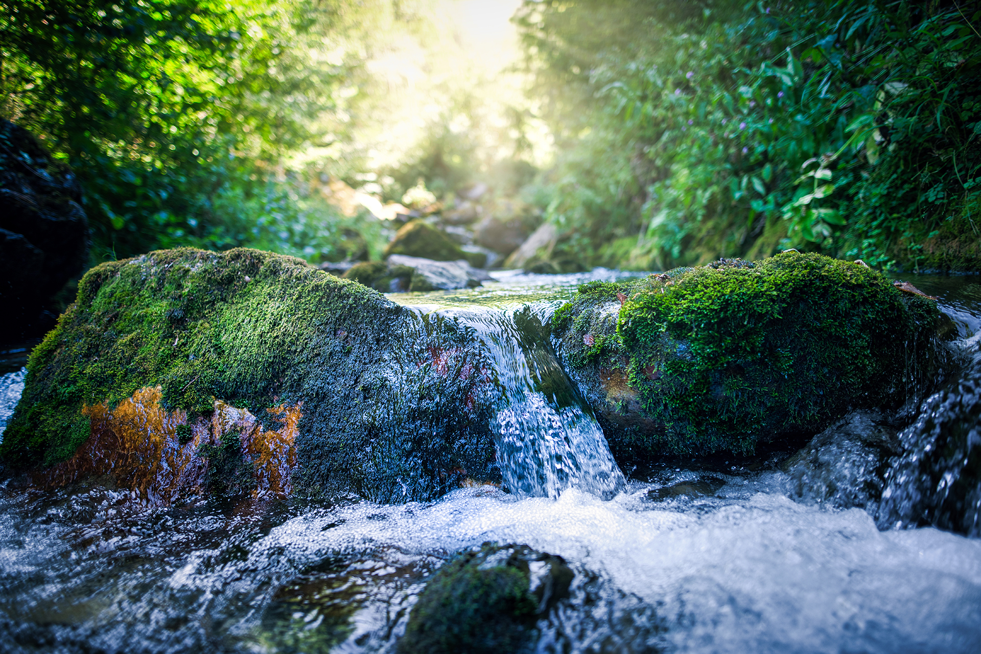 Maunawai Wasserfilter – Hahnenburger wie frisch aus der Bergquelle