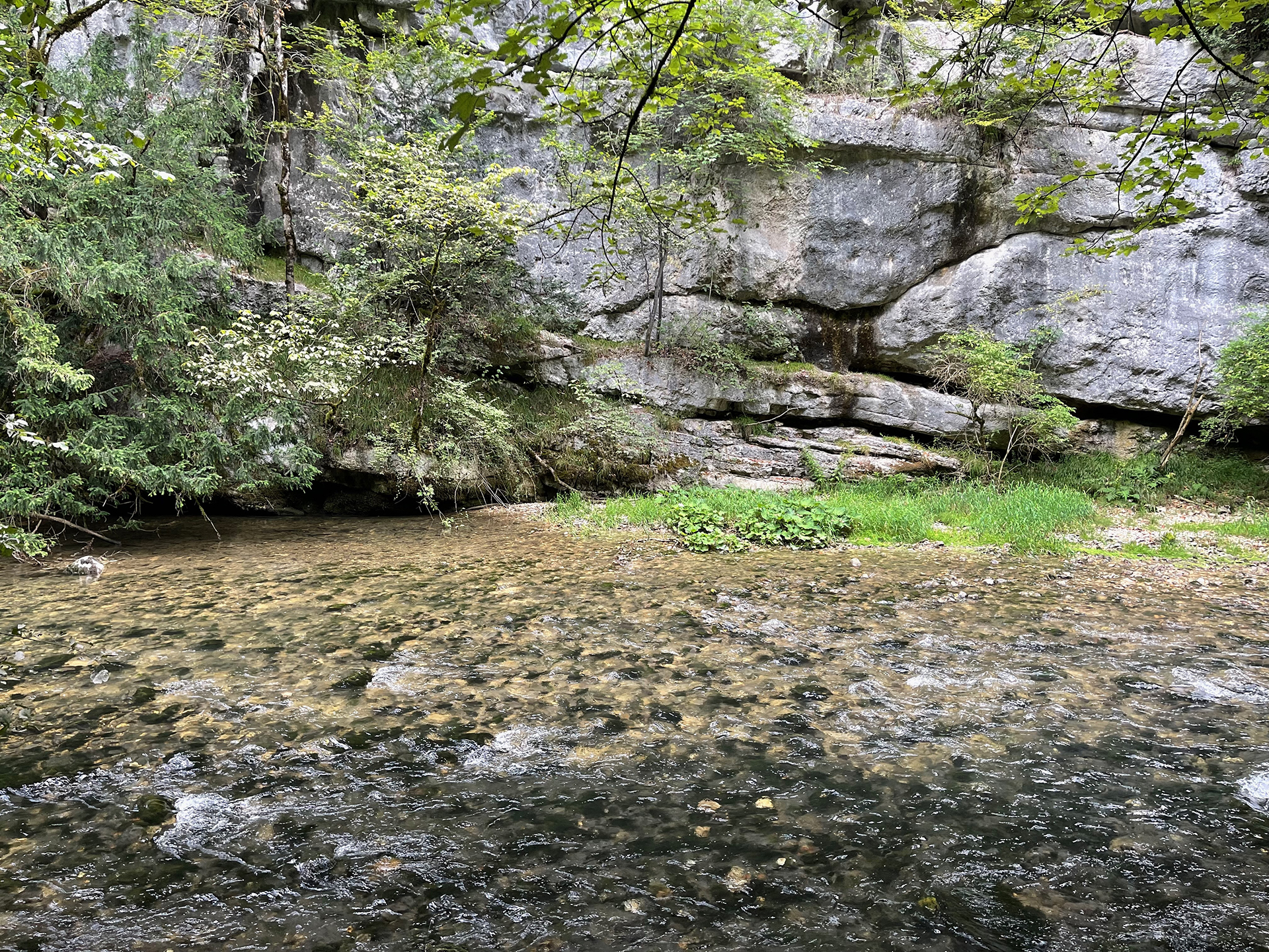 Blick auf den Fluss