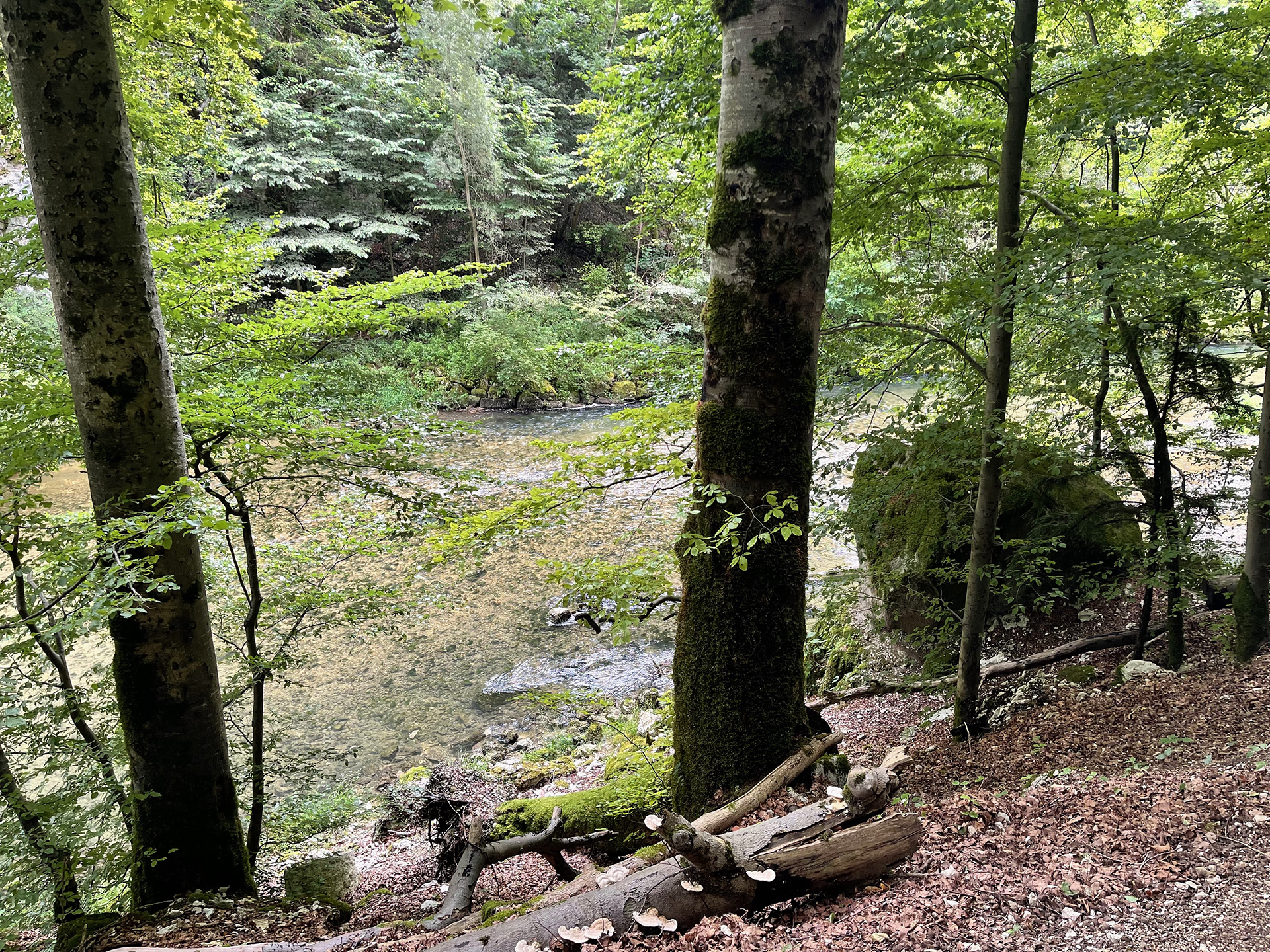 Je tiefer du in die Schlucht eindringst, desto urtümlicher zeigt sich die Landschaft