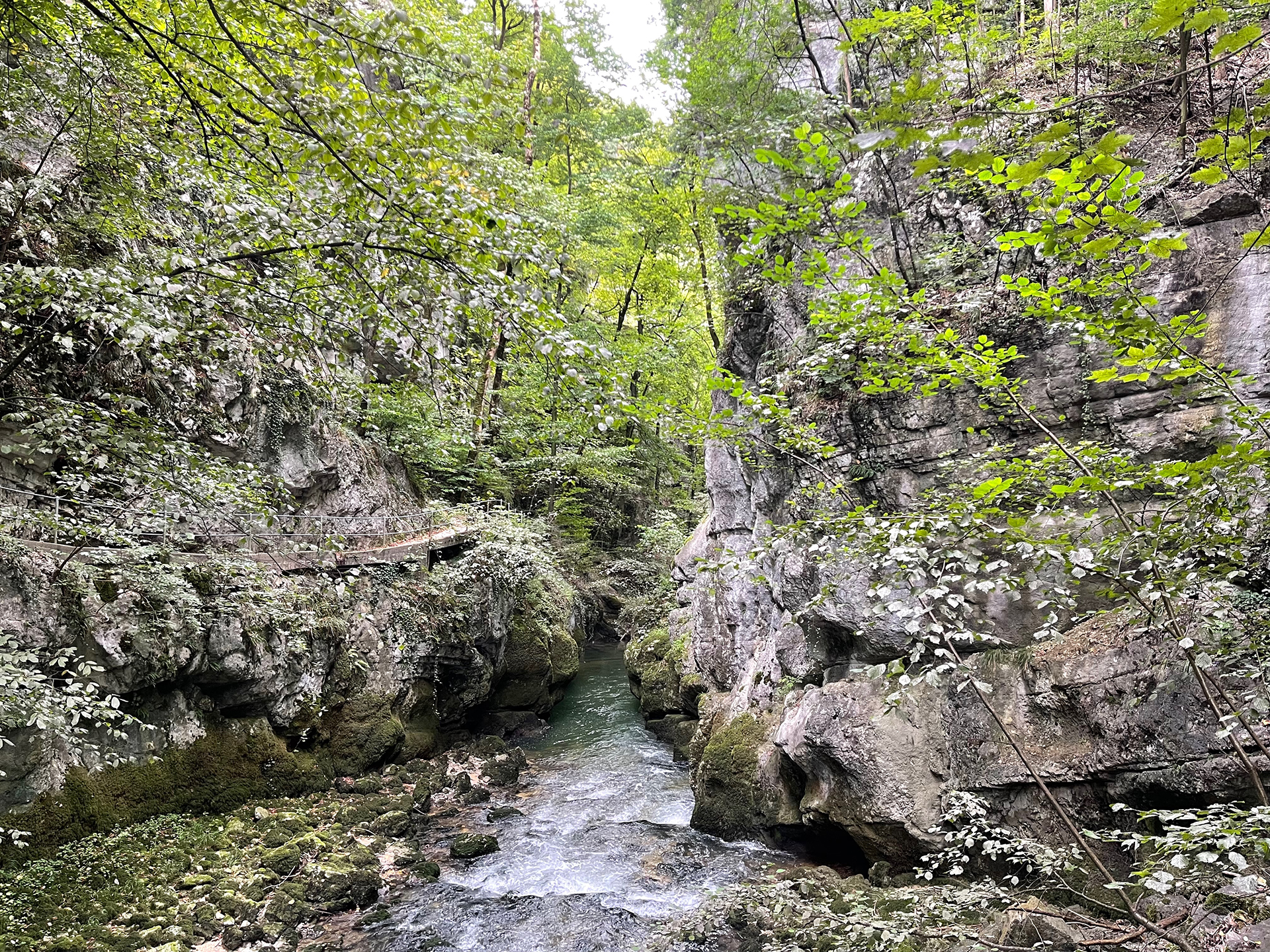 Der Wanderweg überquert mehrmals die wilde Schüss