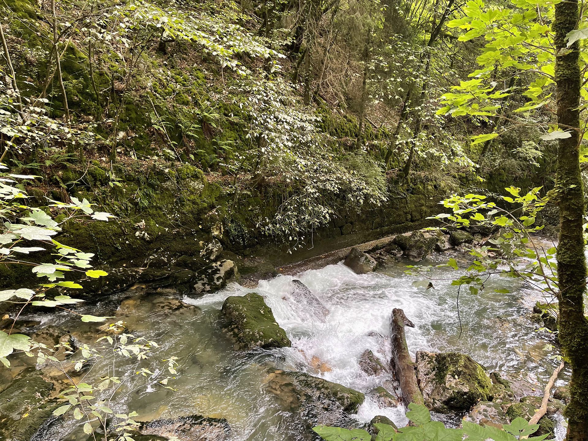 Ich kann es nicht – Wasser ist nun mal mein Element