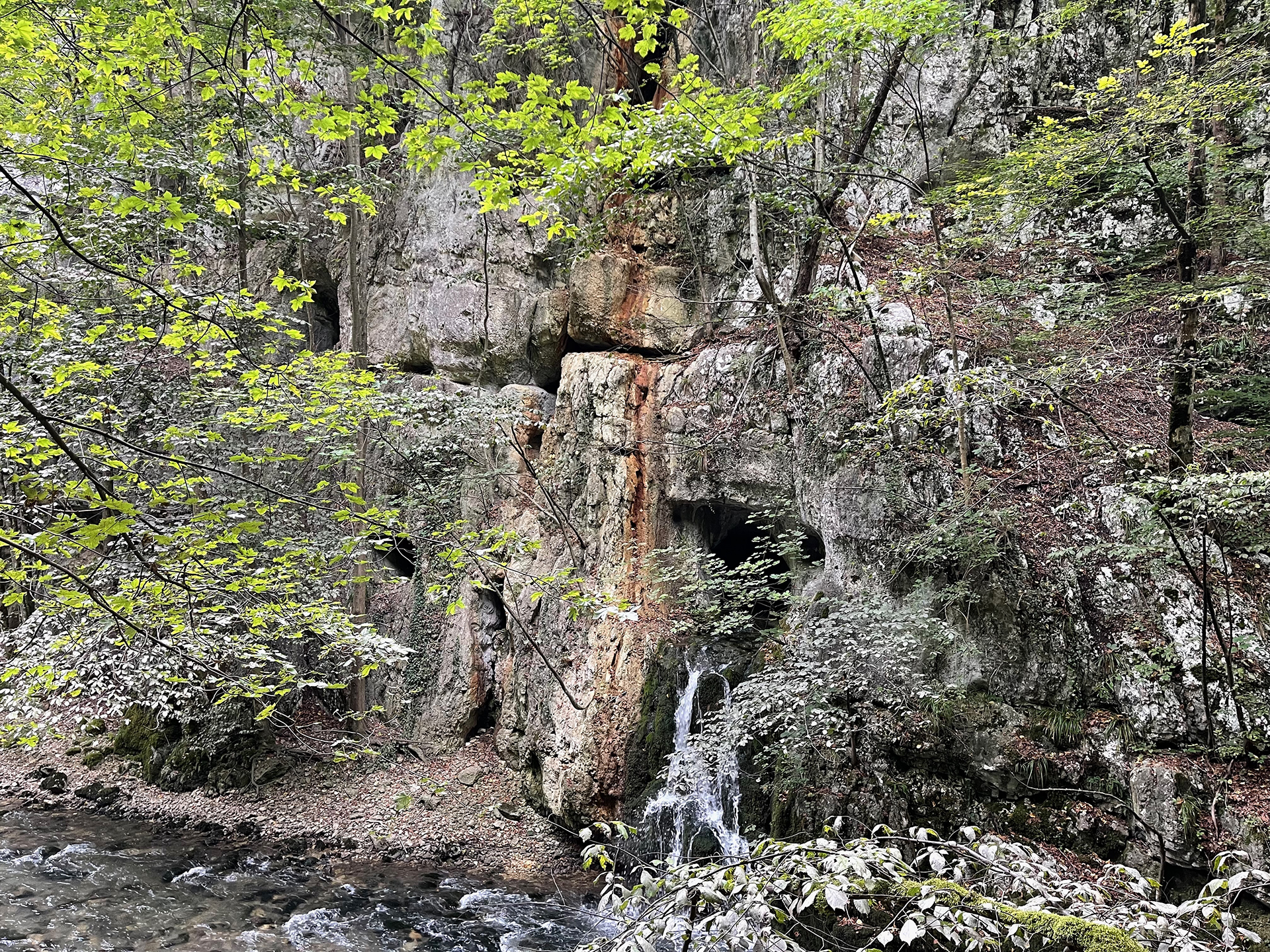 Immer wieder entspringen den Felsen kleine Wasserfälle