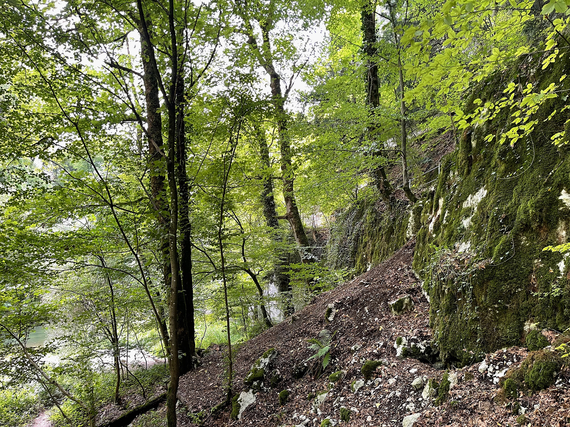 Wenn die befestigten Wege nicht wären, könnte man glauben, allein in der Wildnis zu sein