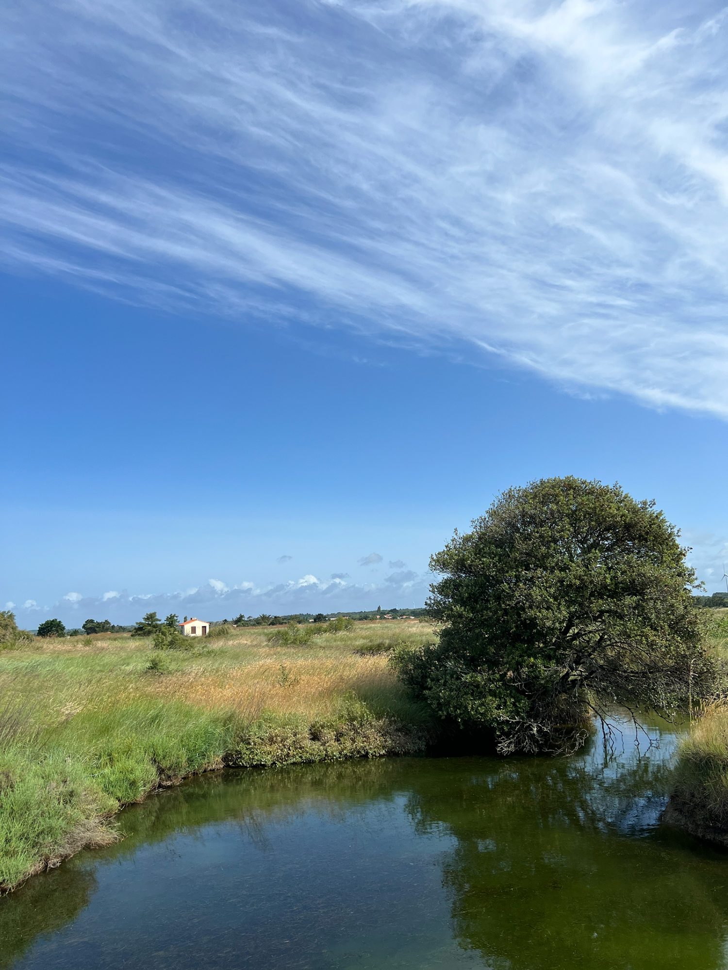 Wildromantische Landschaft