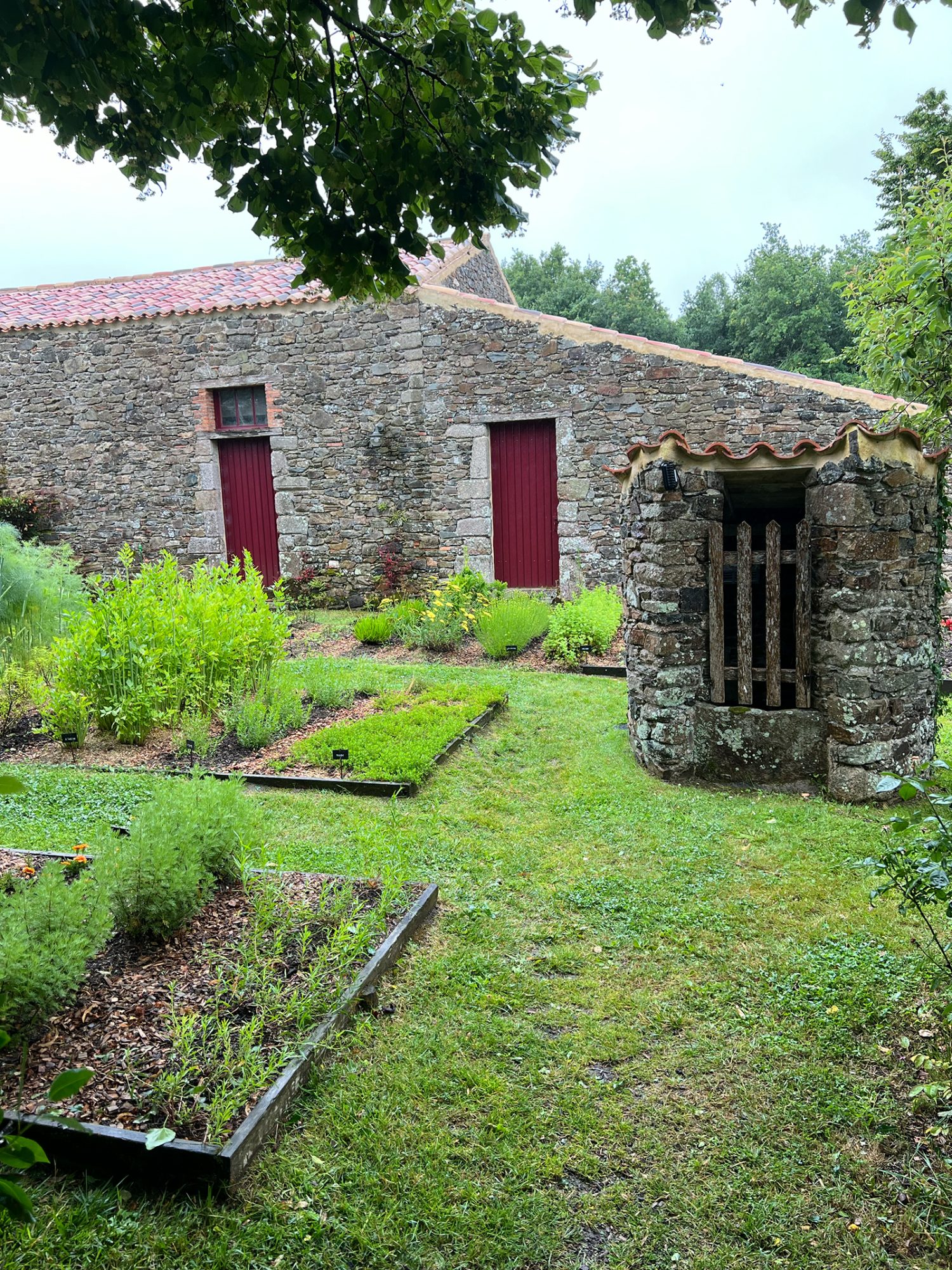 Kräutergarten des Restaurants
