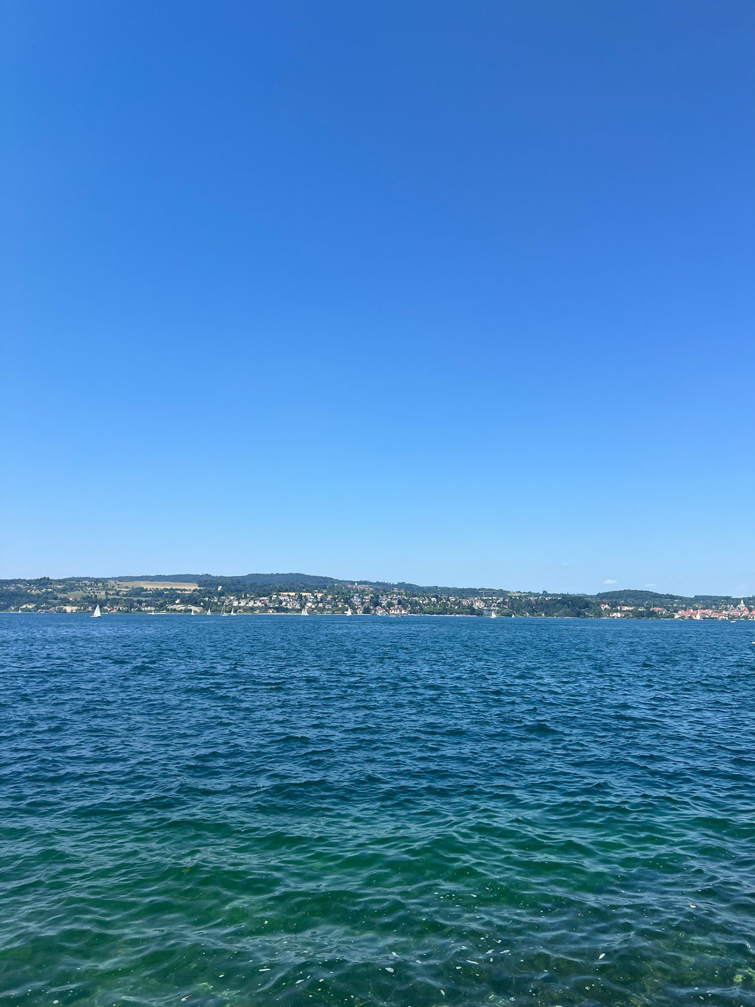 Herrlicher Blick über den Bodensee
