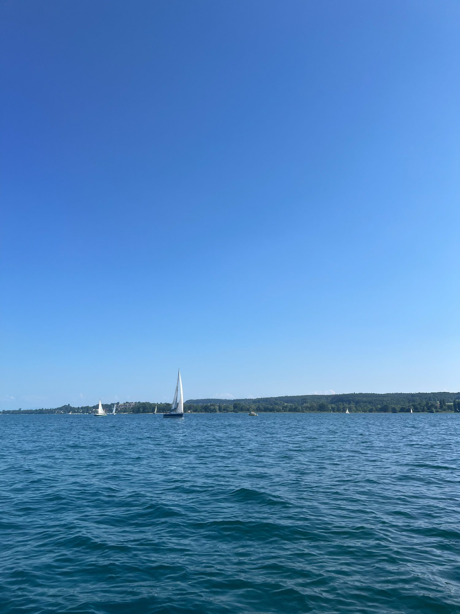 Bei schönstem Wetter waren viele Segler unterwegs