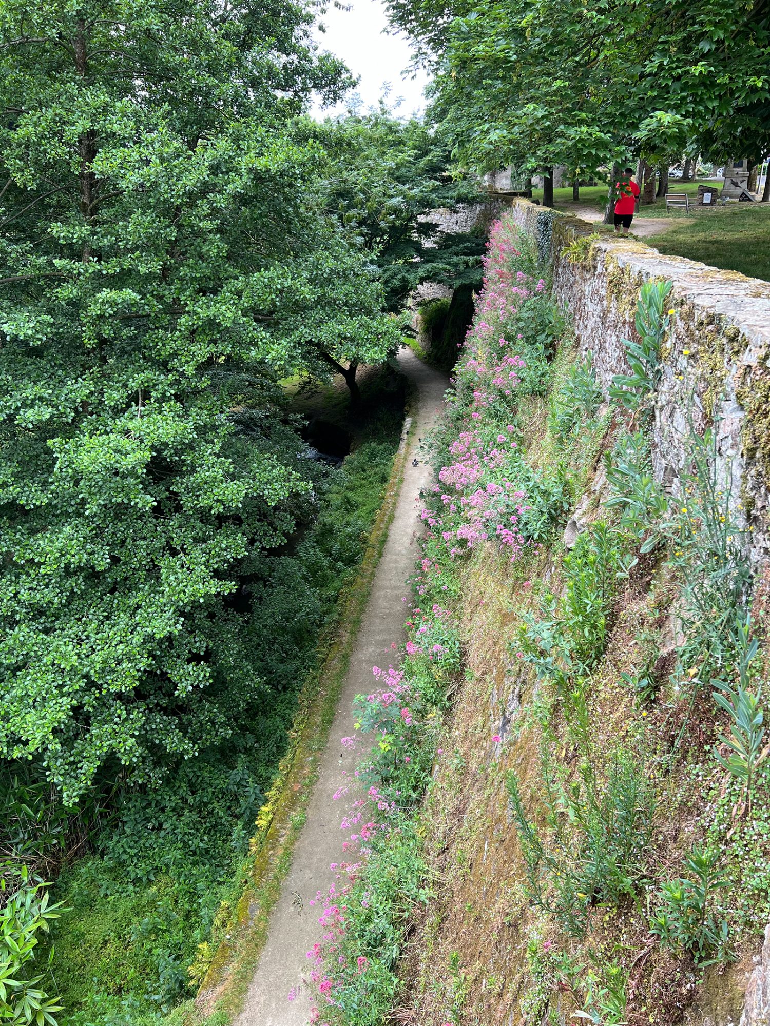 Montaigu