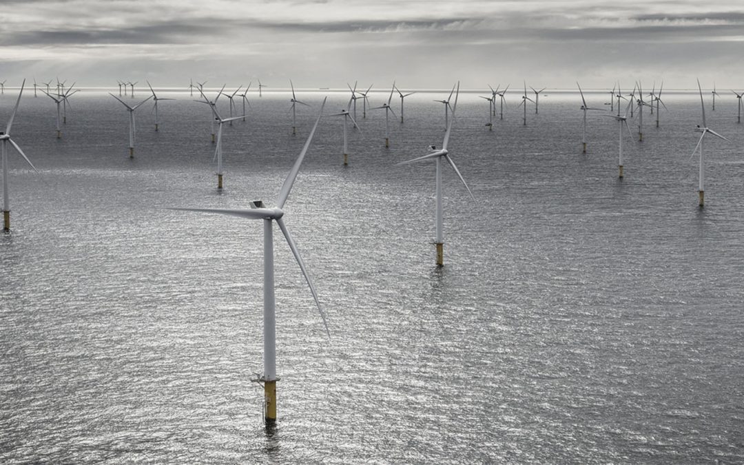 SEC2021: Supplying to offshore wind?  How to make your offering relevant to the developer.