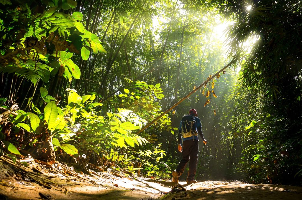 Vegan Snacks for Hiking