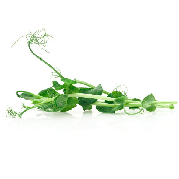 GreenPeaz / peashoots on white background