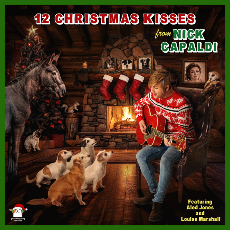 Image shows a man in a cosy cabin front room sitting on an armchair in front of a roaring fire. He is wearing a red and white christmas jumper and is surrounded by 4 dogs, one donkey, a rabbit and a squirrel. He is holding a guitar as if singing to them. In the background, there is a Christmas tree.